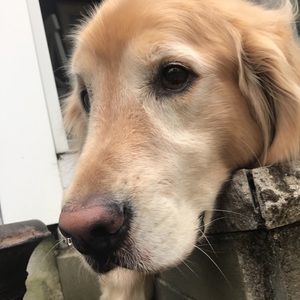 Meet your Posher, Michaela